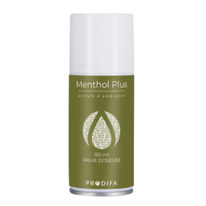 AEROSOL 150 mL MENTHOL+