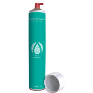 A750SDEOBUTE-12.jpg AEROSOL 750 mL VERVEINE EUCALYPTUS