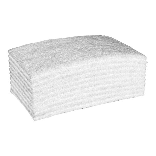 N508379.jpg TAMPON ABRASIF AO X10 - NICOLS