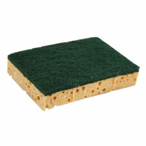 N511168.jpg TAMPON VERT SUR EPONGE CLASSIQUE BICOUCHES X10 - NICOLS