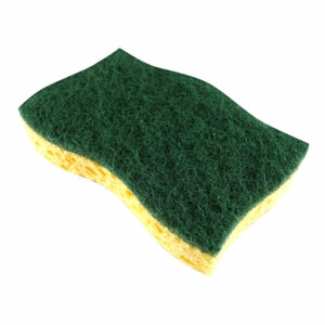 N511175.jpg TAMPON VERT SUR EPONGE CLASSIQUE X10 - NICOLS