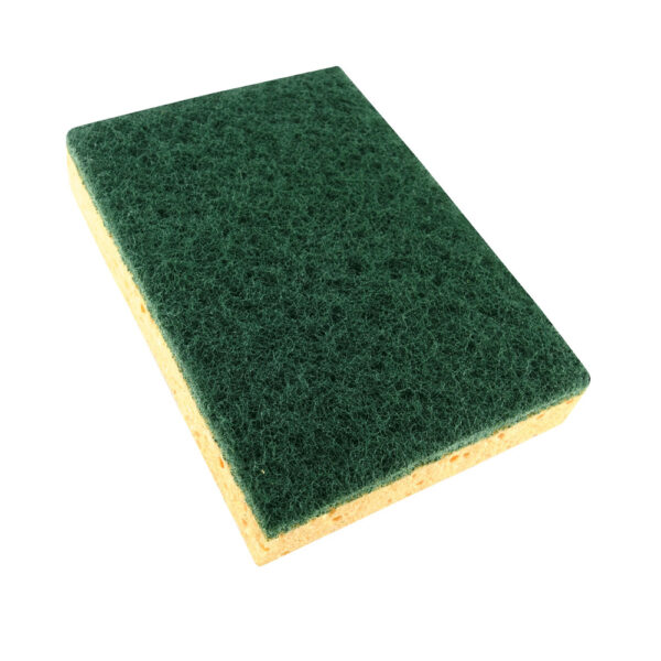 N511202.jpg TAMPON VERT SUR EPONGE VEGETALE PREMIUM BICOUCHES X10 - NICO