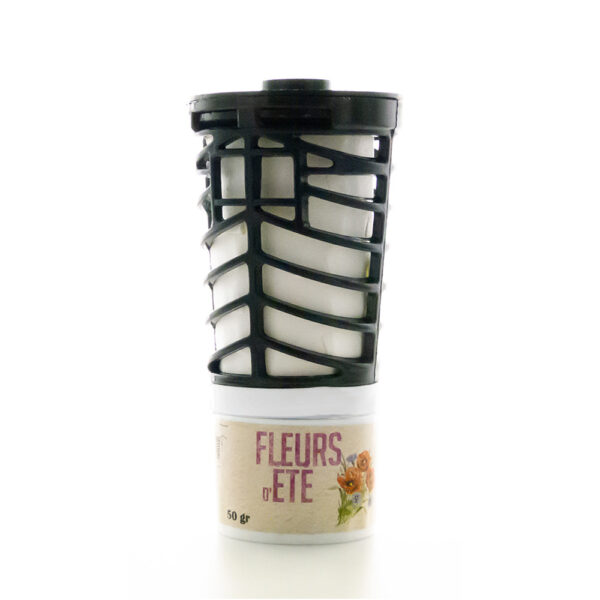 RPROWINDFLET-6.jpg RECHARGE FLEUR D'ÉTÉ