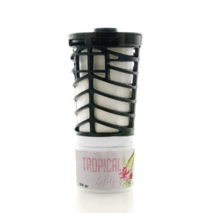 RPROWINDTRO-6.jpg RECHARGE TROPICAL
